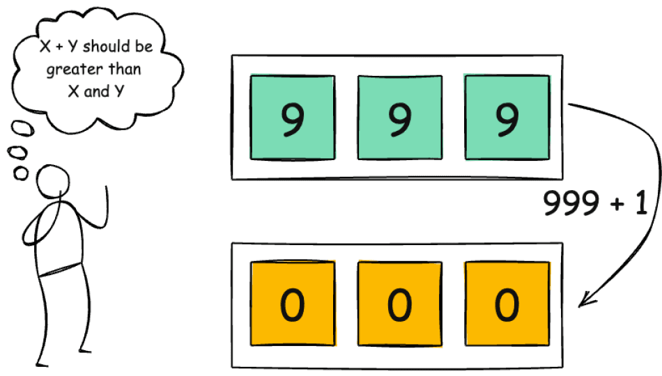 Integer Overflow in Objects Can Be Problematic (and How to Handle It)